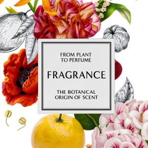 Welbeck Potpourri Craft Book for Kindle-0
