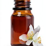 Potpourri Craft Aromatherapy Guide by Skyhorse Kindle Edition-0